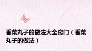 香菜丸子的做法大全窍门（香菜丸子的做法）