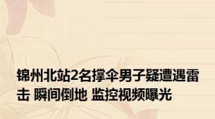 锦州北站2名撑伞男子疑遭遇雷击 瞬间倒地 监控视频曝光