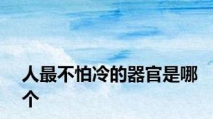 人最不怕冷的器官是哪个