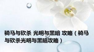 骑马与砍杀 光明与黑暗 攻略（骑马与砍杀光明与黑暗攻略）