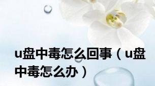 u盘中毒怎么回事（u盘中毒怎么办）