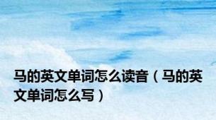 马的英文单词怎么读音（马的英文单词怎么写）