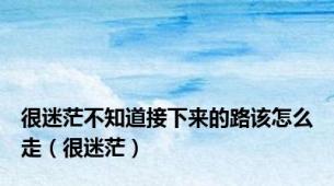 很迷茫不知道接下来的路该怎么走（很迷茫）