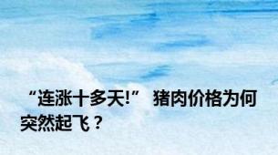 “连涨十多天!” 猪肉价格为何突然起飞？