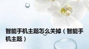 智能手机主题怎么关掉（智能手机主题）
