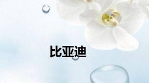 比亚迪