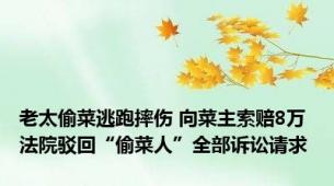 老太偷菜逃跑摔伤 向菜主索赔8万 法院驳回“偷菜人”全部诉讼请求