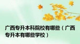 广西专升本科院校有哪些（广西专升本有哪些学校）