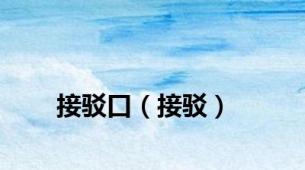 接驳口（接驳）