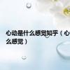 心动是什么感觉知乎（心动是什么感觉）