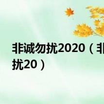 非诚勿扰2020(非诚勿扰20)