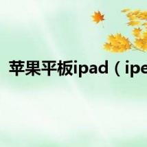 苹果平板ipad（iped）