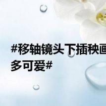 #移轴镜头下插秧画卷有多可爱#