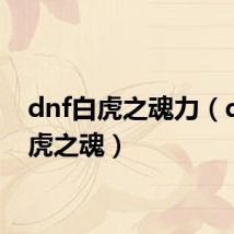 dnf白虎之魂力（dnf白虎之魂）