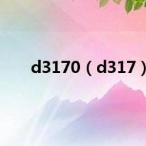 d3170（d317）