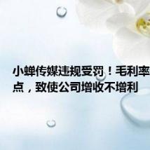 小蝉传媒违规受罚!毛利率逼近零点,致使公司增收不增利