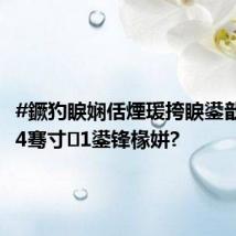 #鐝犳睙娴佸煙瑗挎睙鍙戠敓2024骞寸1鍙锋椽姘?