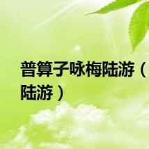 普算子咏梅陆游（咏梅陆游）
