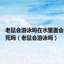 老鼠会游泳吗在水里面会不会淹死吗（老鼠会游泳吗）