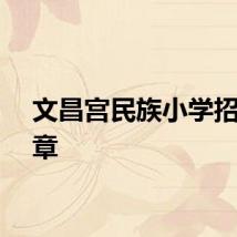 文昌宫民族小学招生简章