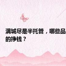 满城尽是半托管,哪些品类能真的挣钱?