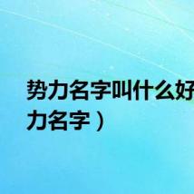 势力名字叫什么好（势力名字）