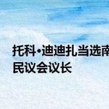 托科·迪迪扎当选南非国民议会议长