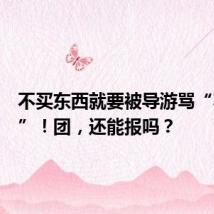 不买东西就要被导游骂“不要脸”!团,还能报吗?