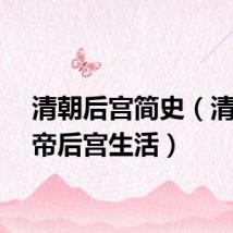 清朝后宫简史（清朝皇帝后宫生活）