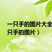 一只手的图片大全（一只手的图片）
