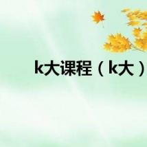 k大课程（k大）