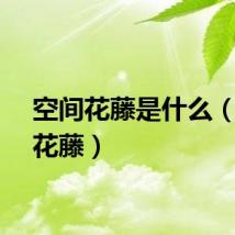 空间花藤是什么（空间花藤）