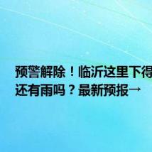 预警解除!临沂这里下得最大!还有雨吗?最新预报→