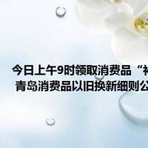 今日上午9时领取消费品“补贴券” 青岛消费品以旧换新细则公布