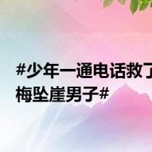 #少年一通电话救了摘杨梅坠崖男子#