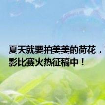 夏天就要拍美美的荷花,有奖摄影比赛火热征稿中!
