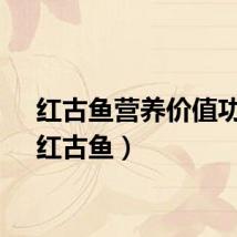 红古鱼营养价值功效（红古鱼）