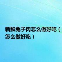 新鲜兔子肉怎么做好吃(兔子肉怎么做好吃)