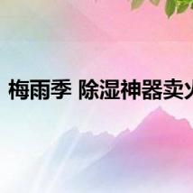 梅雨季 除湿神器卖火了