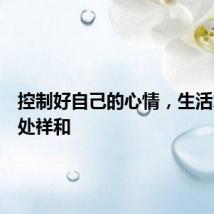 控制好自己的心情，生活才会处处祥和