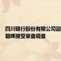 四川银行股份有限公司副行长杨朝晖接受审查调查