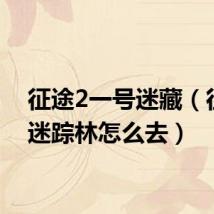 征途2一号迷藏（征途2迷踪林怎么去）