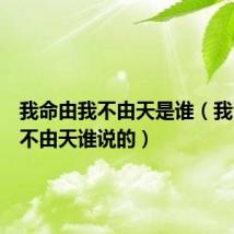 我命由我不由天是谁(我命由我不由天谁说的)