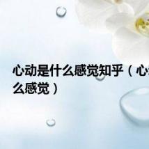 心动是什么感觉知乎（心动是什么感觉）
