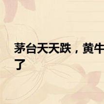 茅台天天跌，黄牛也慌了