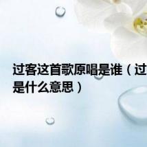 过客这首歌原唱是谁（过客歌词是什么意思）