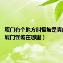 厦门有个地方叫怪坡是真的吗?(厦门怪坡在哪里)