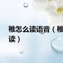 稚怎么读语音（稚怎么读）