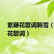 紫藤花歌词韩雪（紫藤花歌词）