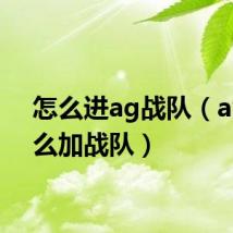 怎么进ag战队(ava怎么加战队)